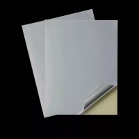 china gold supplier Self Adhesive Cast Coated  face Paper Yellow Back Release Paper In Sheets and reels